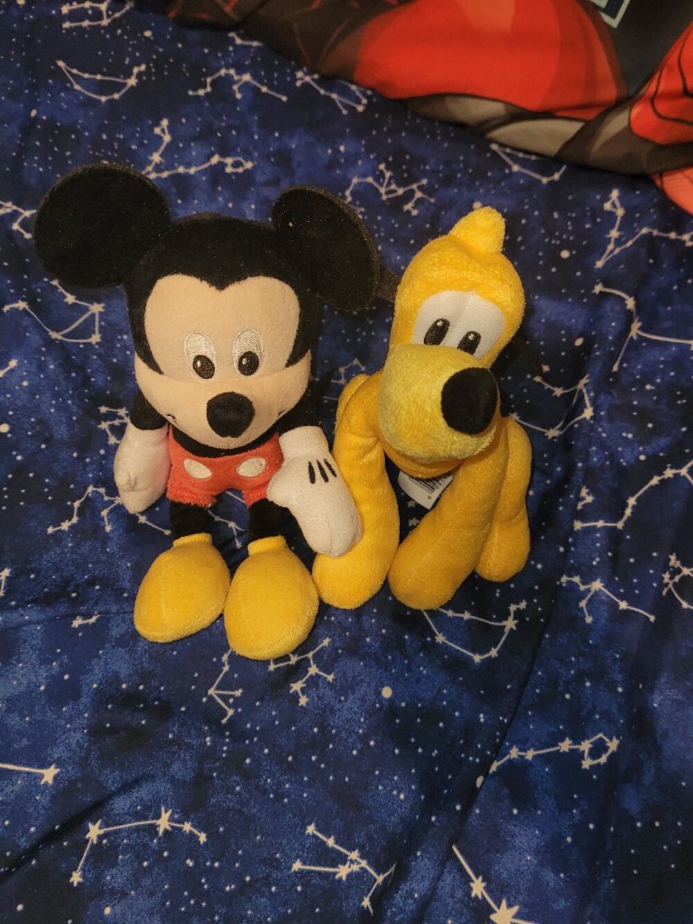 Stuffed animals